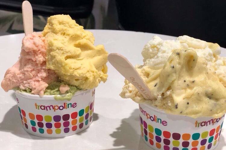 Trampoline Gelato Southbank Melbourne Zomato